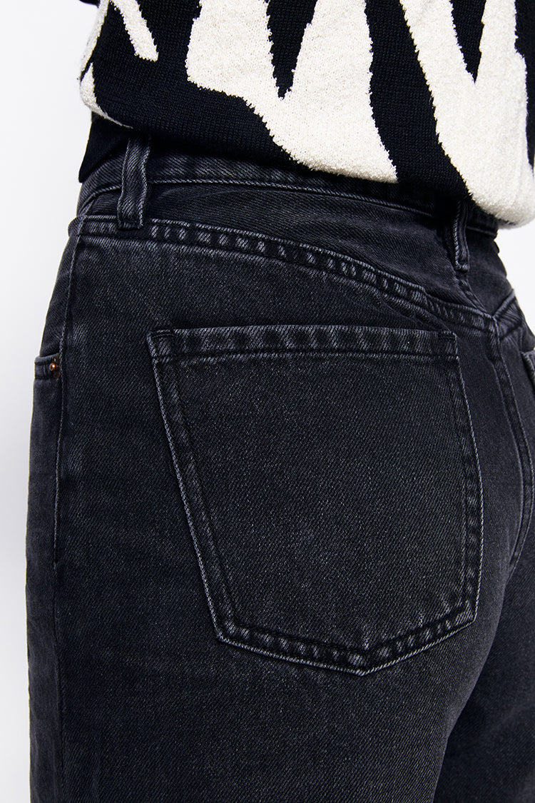 Whitefish High Rise Wide Jeans HJ007