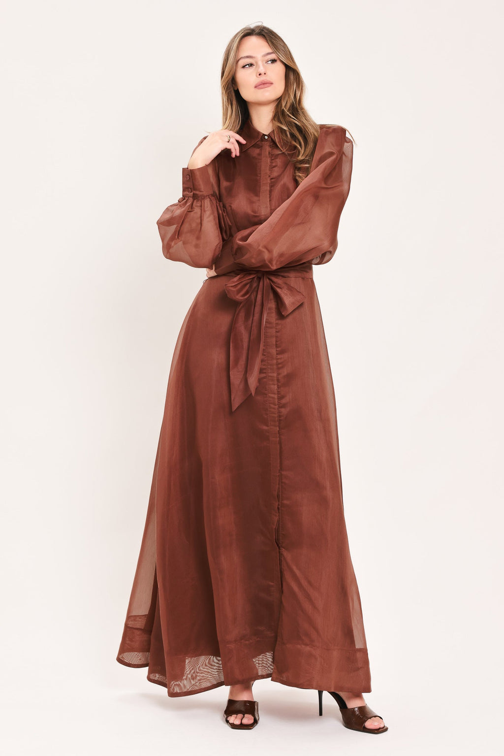 CEDARLIGHT ORGANZA MAXI DRESS