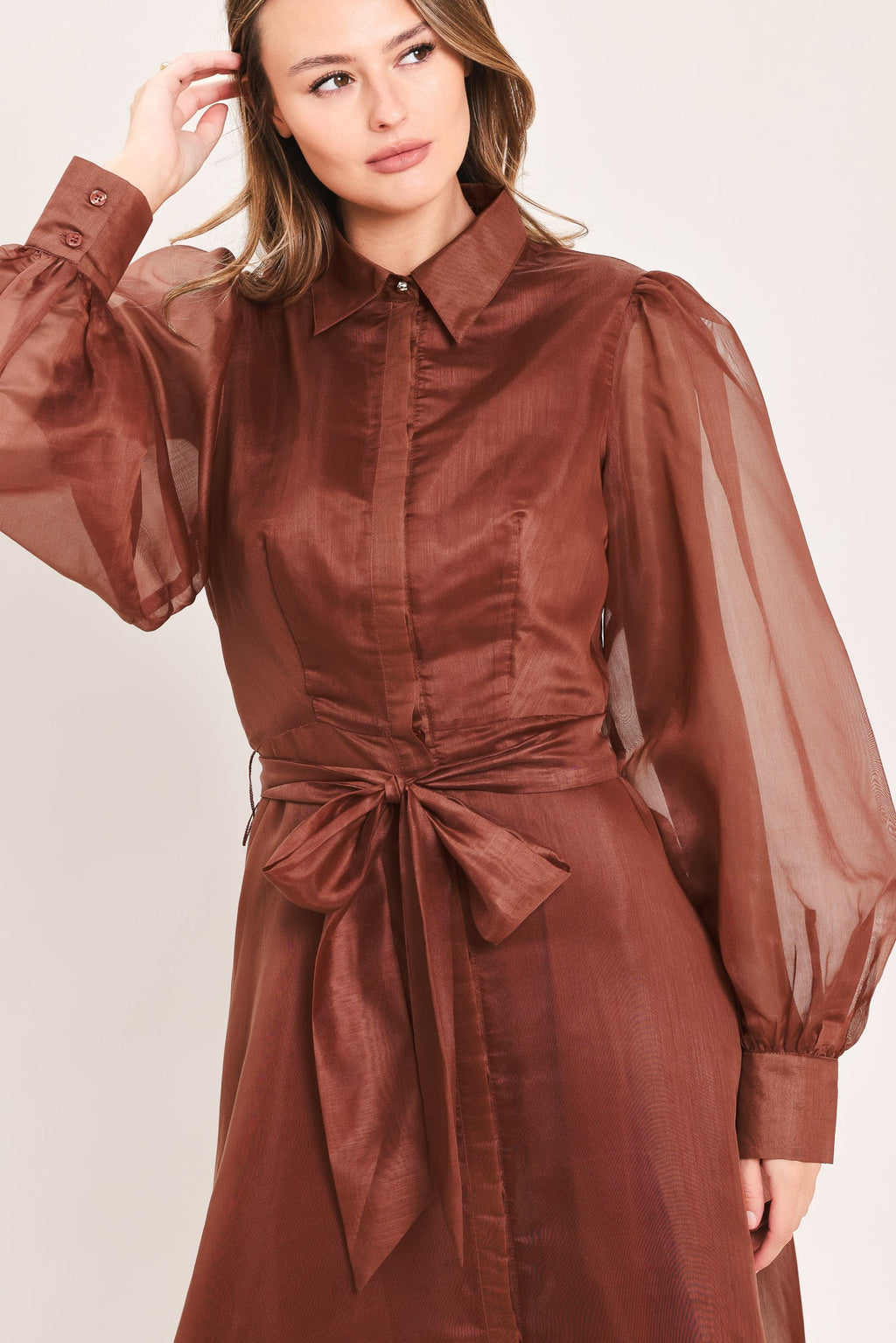 CEDARLIGHT ORGANZA MAXI DRESS