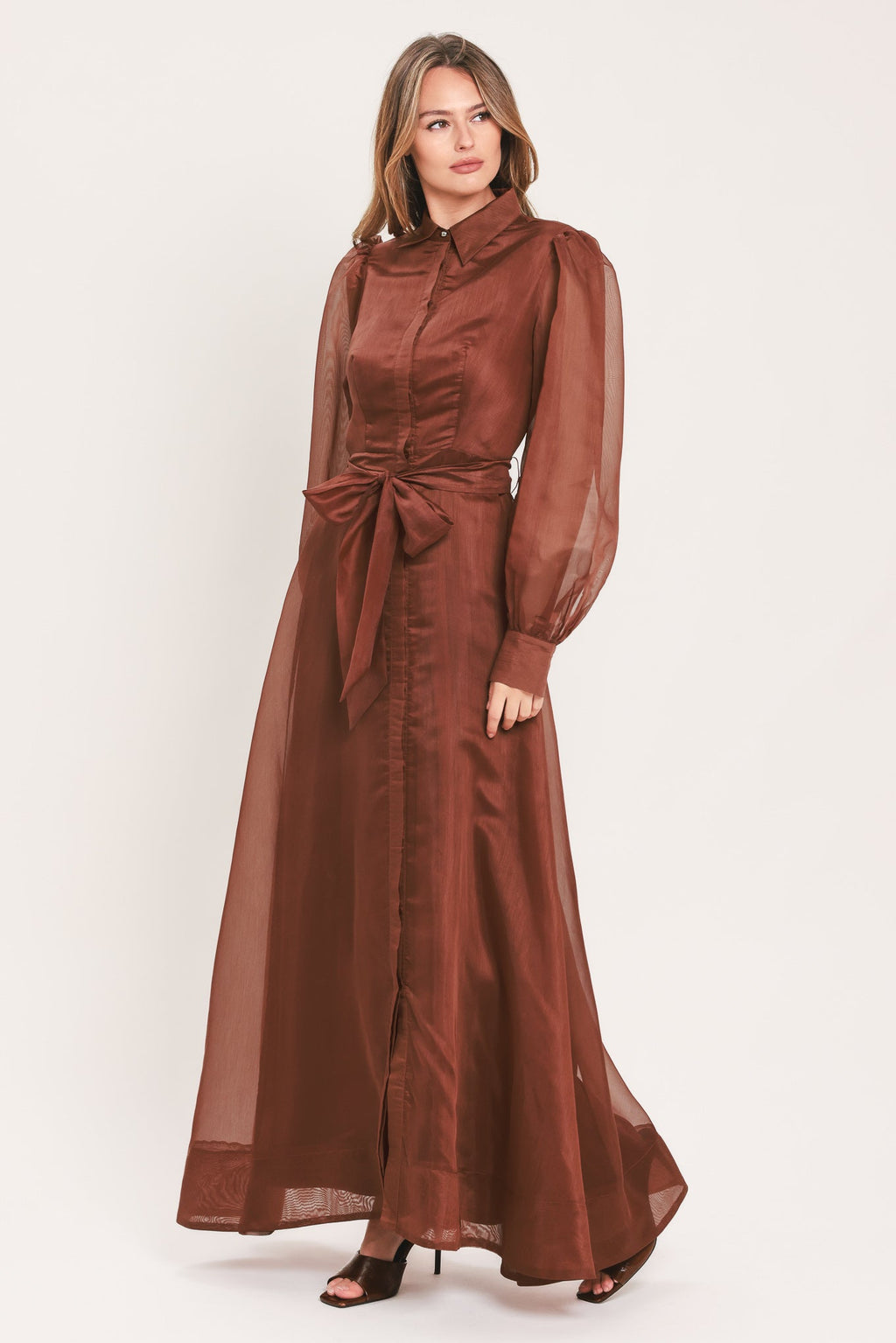 CEDARLIGHT ORGANZA MAXI DRESS