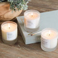 Warm + Comforting Trio - Signature Candle Bundle