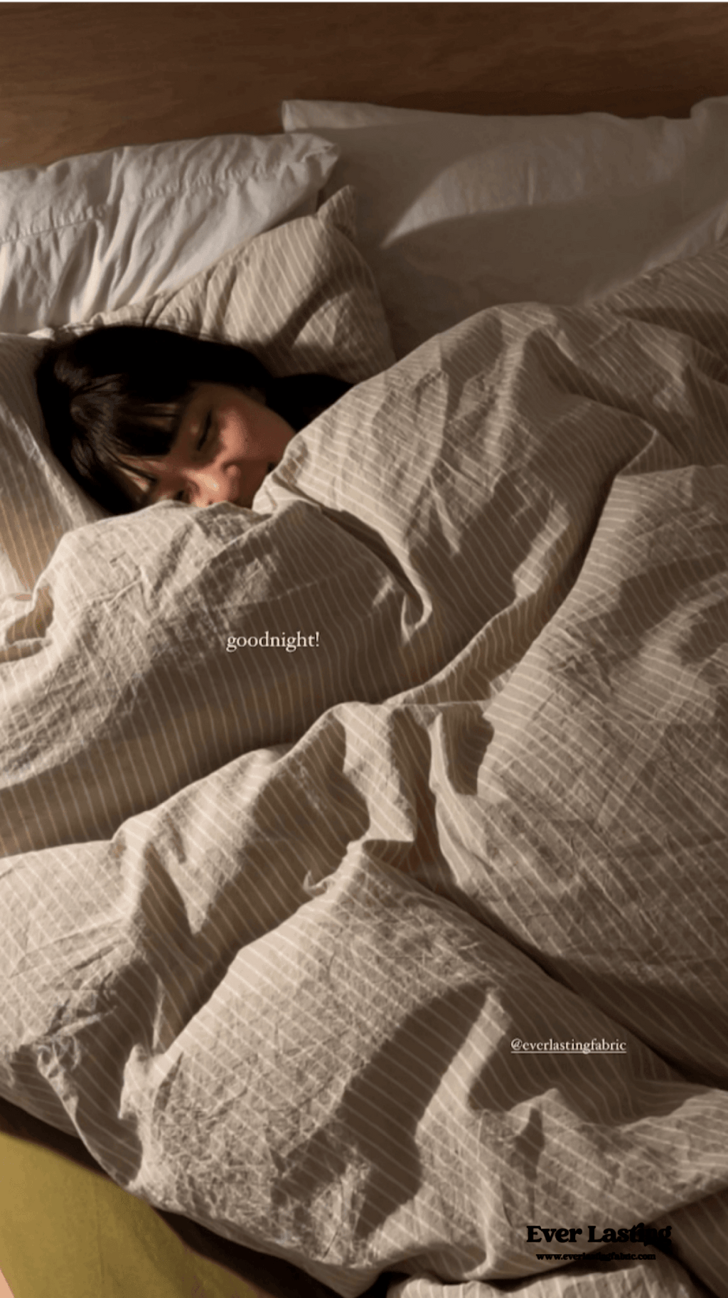 Solid Bed Sheet